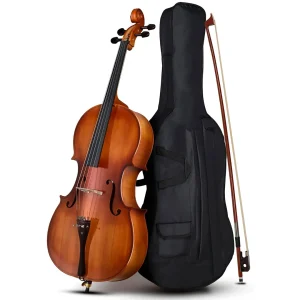 Violoncello 4/4 Tayste Con Estuche